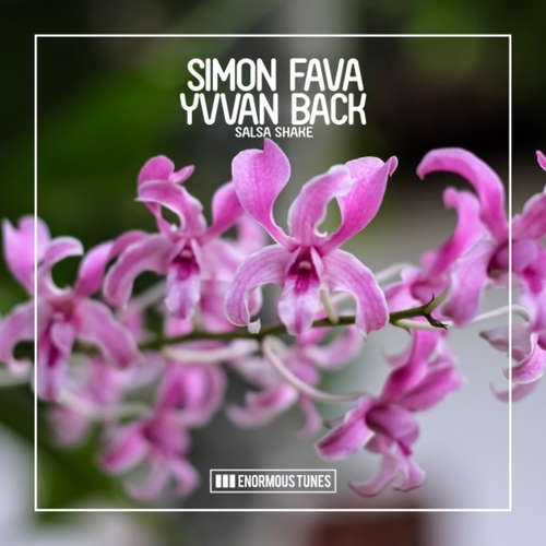 Simon Fava & Yvvan Back & Christian Ghinati - Salsa Shake [ETR622]